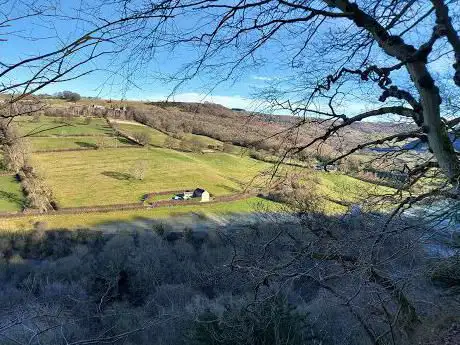 Photo de Round Howe Wood