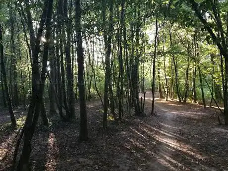 Photo de La Platte du Martoret