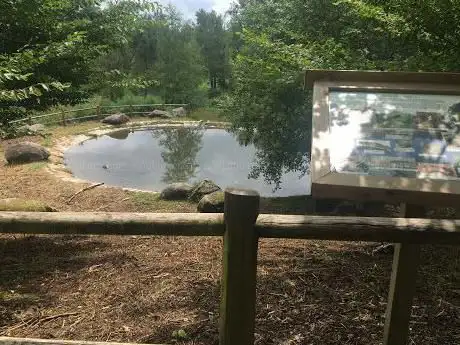 Photo de Lagoa dos seixos
