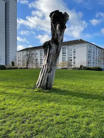 Photo de Norland Open Space