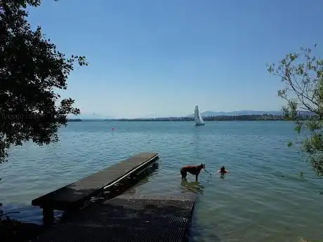 Steg Fällanden