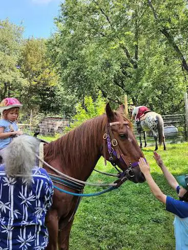 Photo de Horses For Hire