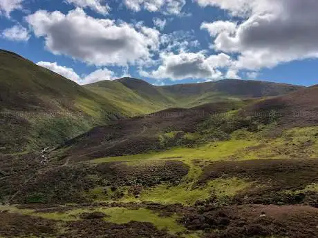 Photo de Devil's Elbow Viewpoint