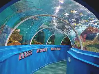 Photo de Blue Reef Aquarium Portsmouth