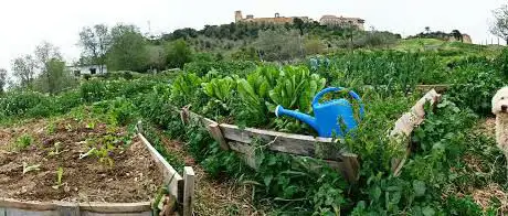 Photo de El Arrecife Viejo Centro de AgroecologÃa Integral