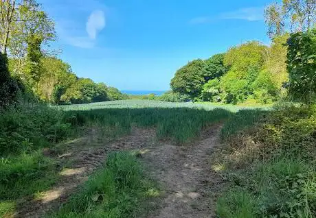 Hawthorn Dene Nature Reserve