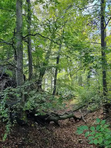 Photo de Ruins Madeln