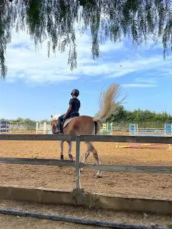 Photo de Centro Equestre Giovanni De Trizio - ASD