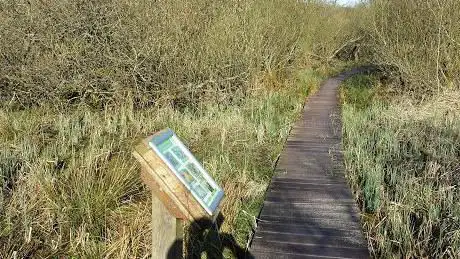 Photo de Malham Tarn Walkway