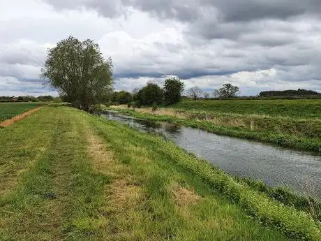 Photo de The Weir