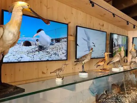 Photo de La Maison de l'ÃŽle aux Oiseaux