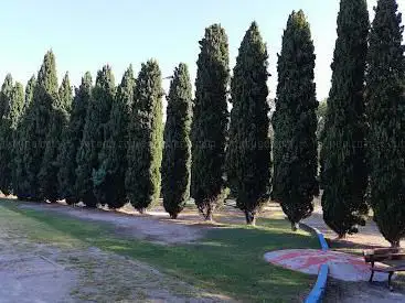 Photo de public Garden
