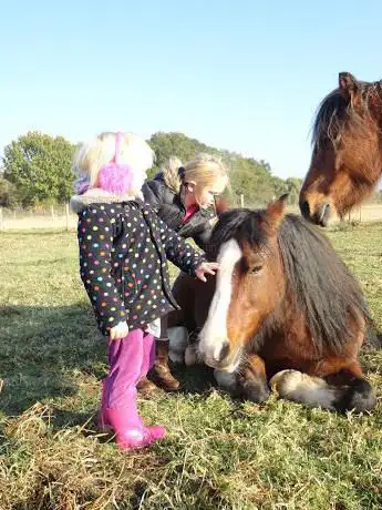 Photo de The Pony Academy
