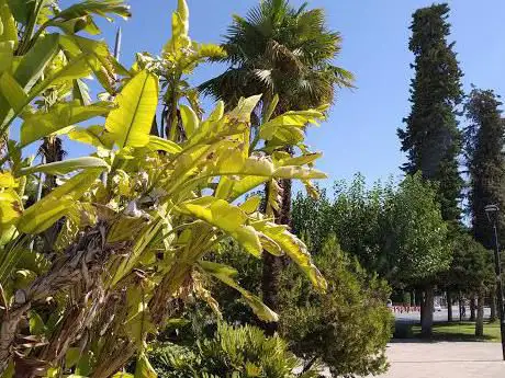 Photo de Chino Garden