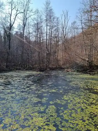 challerenweg weiher kaiseraugst