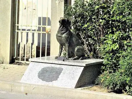Monumento al Cane Pippo - Torre del Lago Puccini (lu)