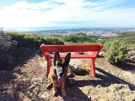 Photo de Banc d'en Bialet