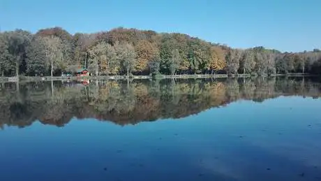 Riedweiher