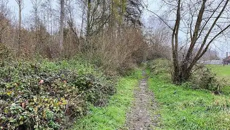 Hamelbroek