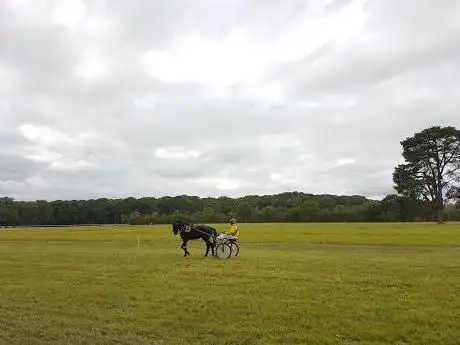 Photo de Hippodrome De La Forêt De Vibraye