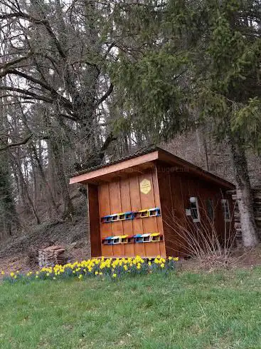 Photo de Pfendelhüsli