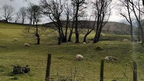 Photo de Nant y Coed Local Nature Reserve