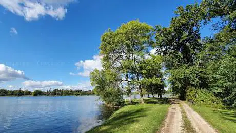 Photo de Etang d'Armainvilliers