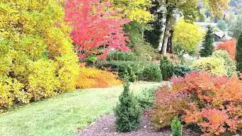 Baussottes Garden