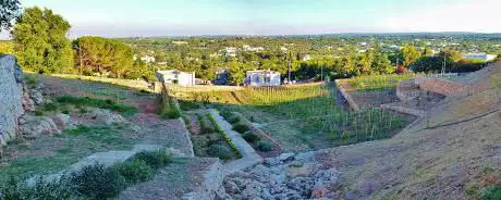 Photo de Orti Urbani