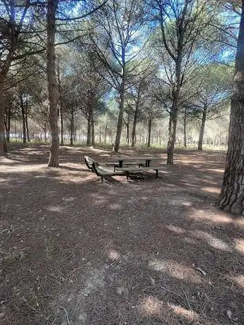 Photo de Pinares de La Alfranca