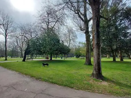 Photo de Parc ferrera