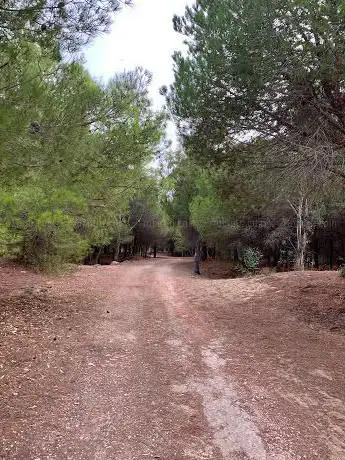 Photo de Boschetto di S. Maria