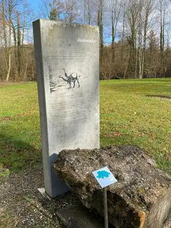 Gesteinslehrpfad Holderbank