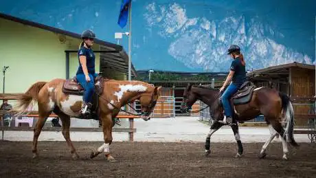 ASD Calzà Performance Horses