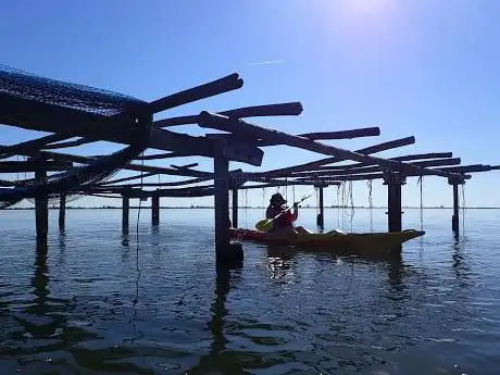 Photo de Kayak ebre