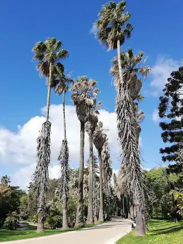 Photo de Tropical Botanical Garden