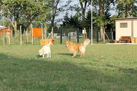 Photo de Area Cani Freedogs