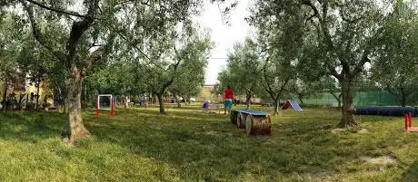 Photo de Parco Cinofilo Namira