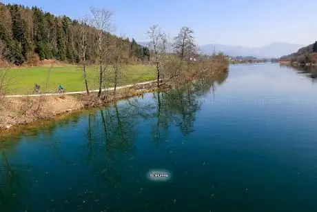 aareufer berken