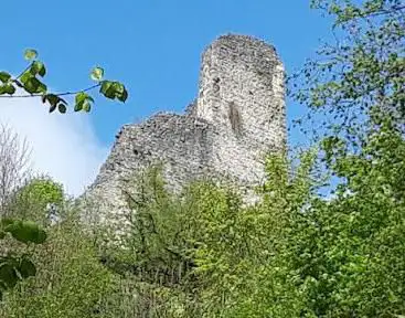 Photo de Ruins of the Vorbourg