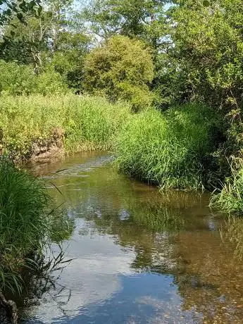 Photo de Barston Ford