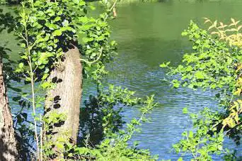 Photo de Promenade Ar Zénith