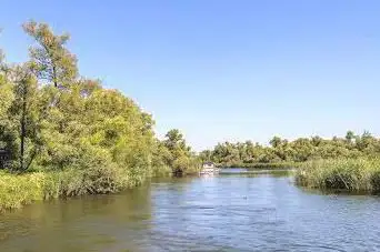 Nationaal Park De Biesbosch