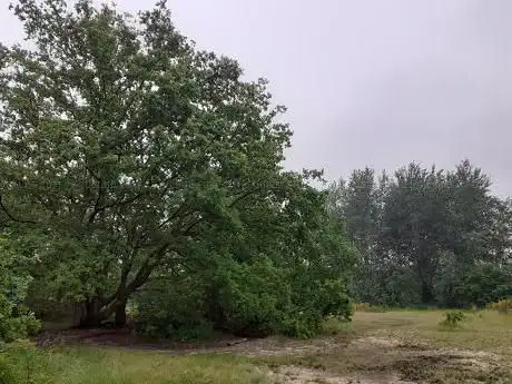 Photo de Konijnenberg