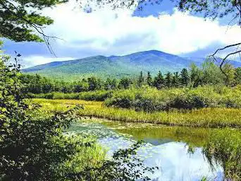 Photo de Adirondack Wildlife Refuge and Rehab Center