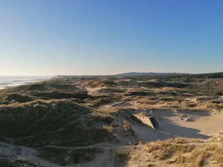 Bunker