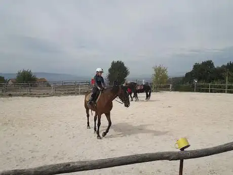 Photo de Circolo Ippico Montione