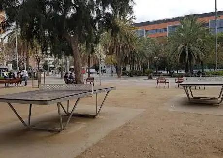 Taules de Ping Pong
