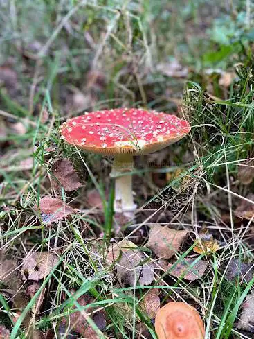 Landgoed Oostermaet