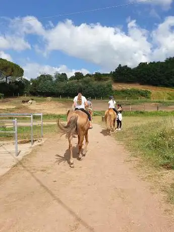 Photo de Equiavventura S.P.A